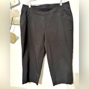 🐰 Sale 🐰❤️ Woman’s Coral Bay Stretch Cropped Pants in size 16W